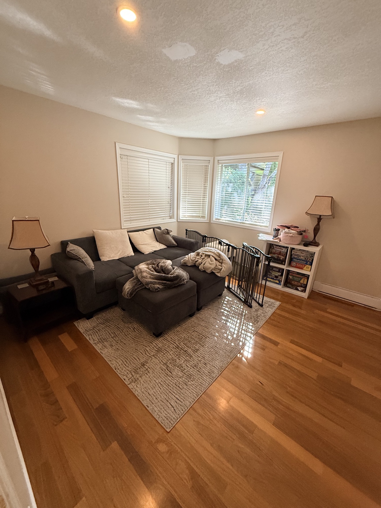 Living room after cleaning