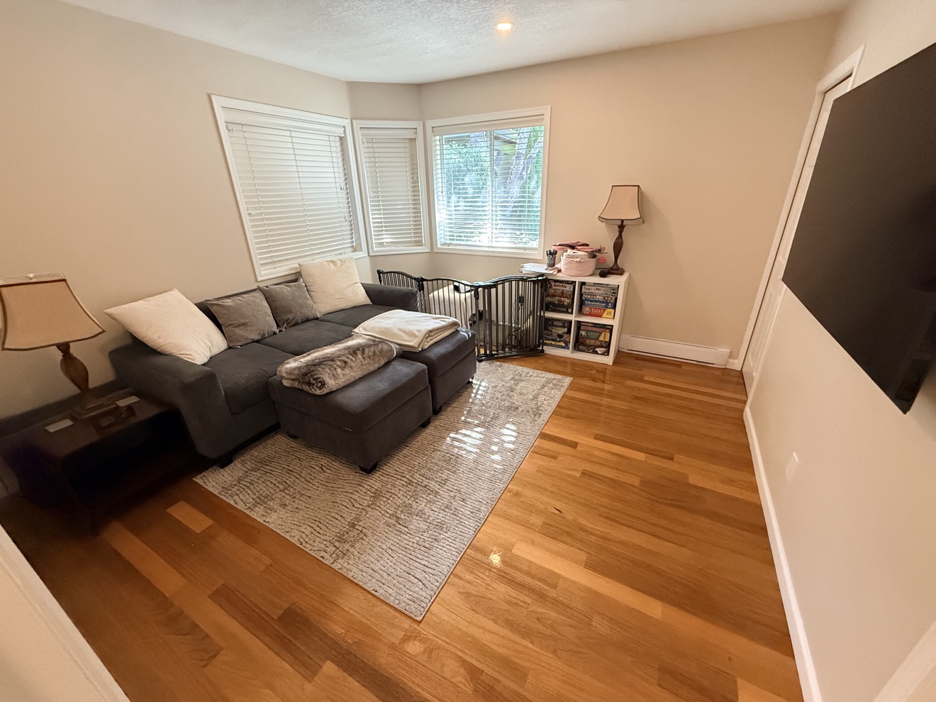 Living room after cleaning